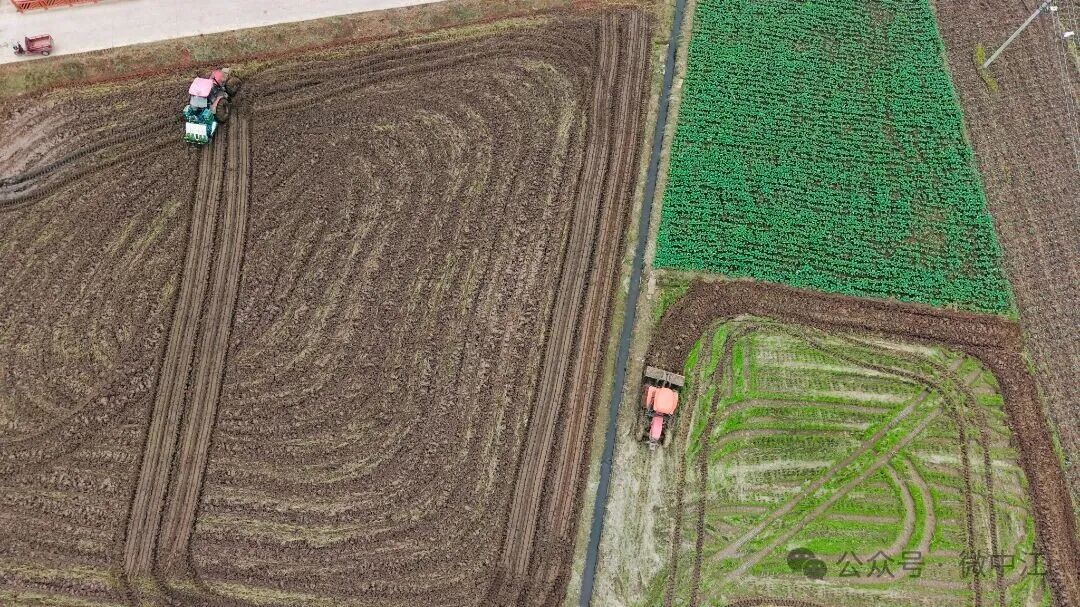 1763691440911018061.jpg 1763691440911018061.jpg